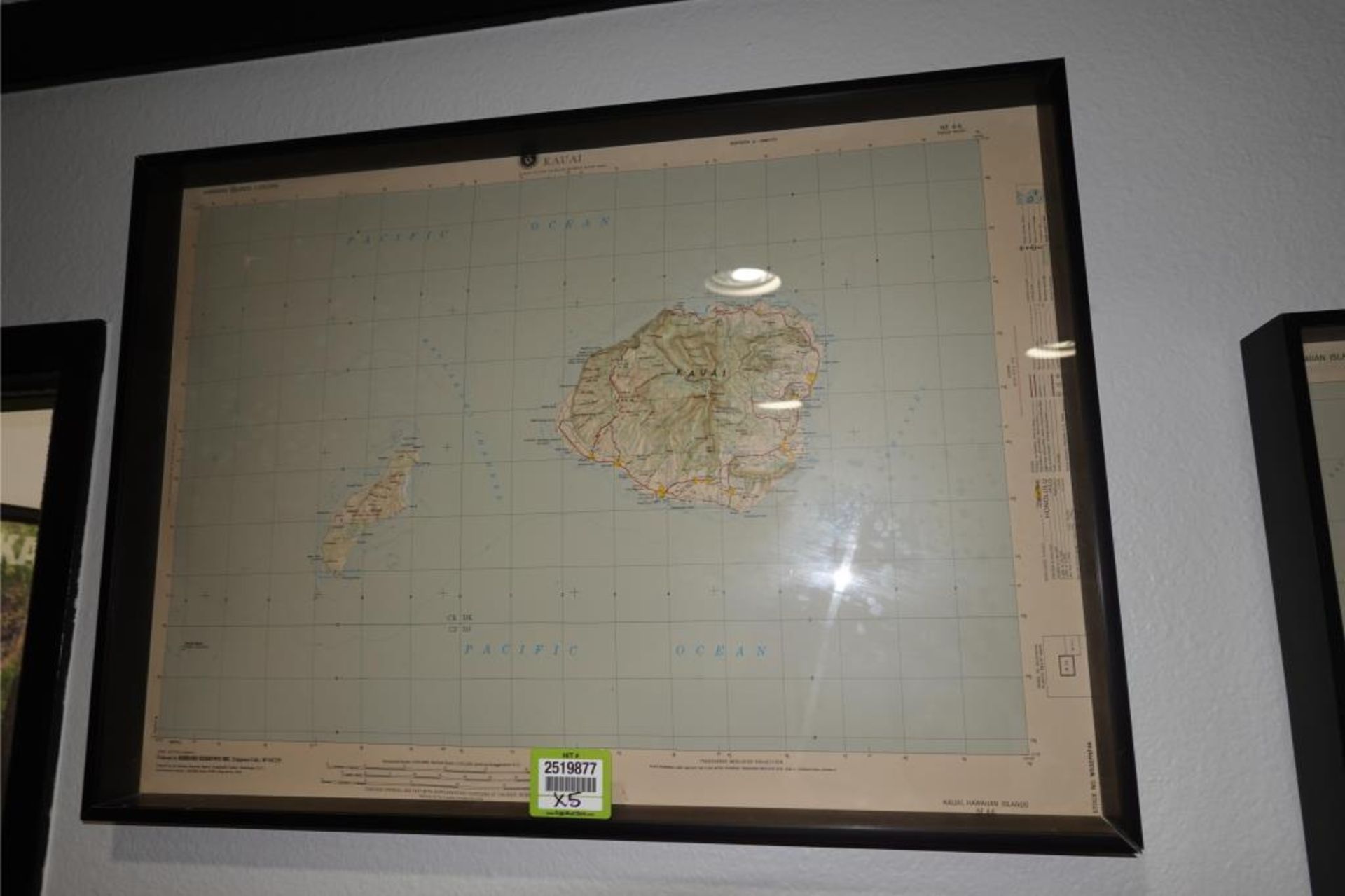 Framed Raised Island Maps - Image 5 of 6