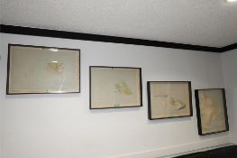 Framed Raised Island Maps