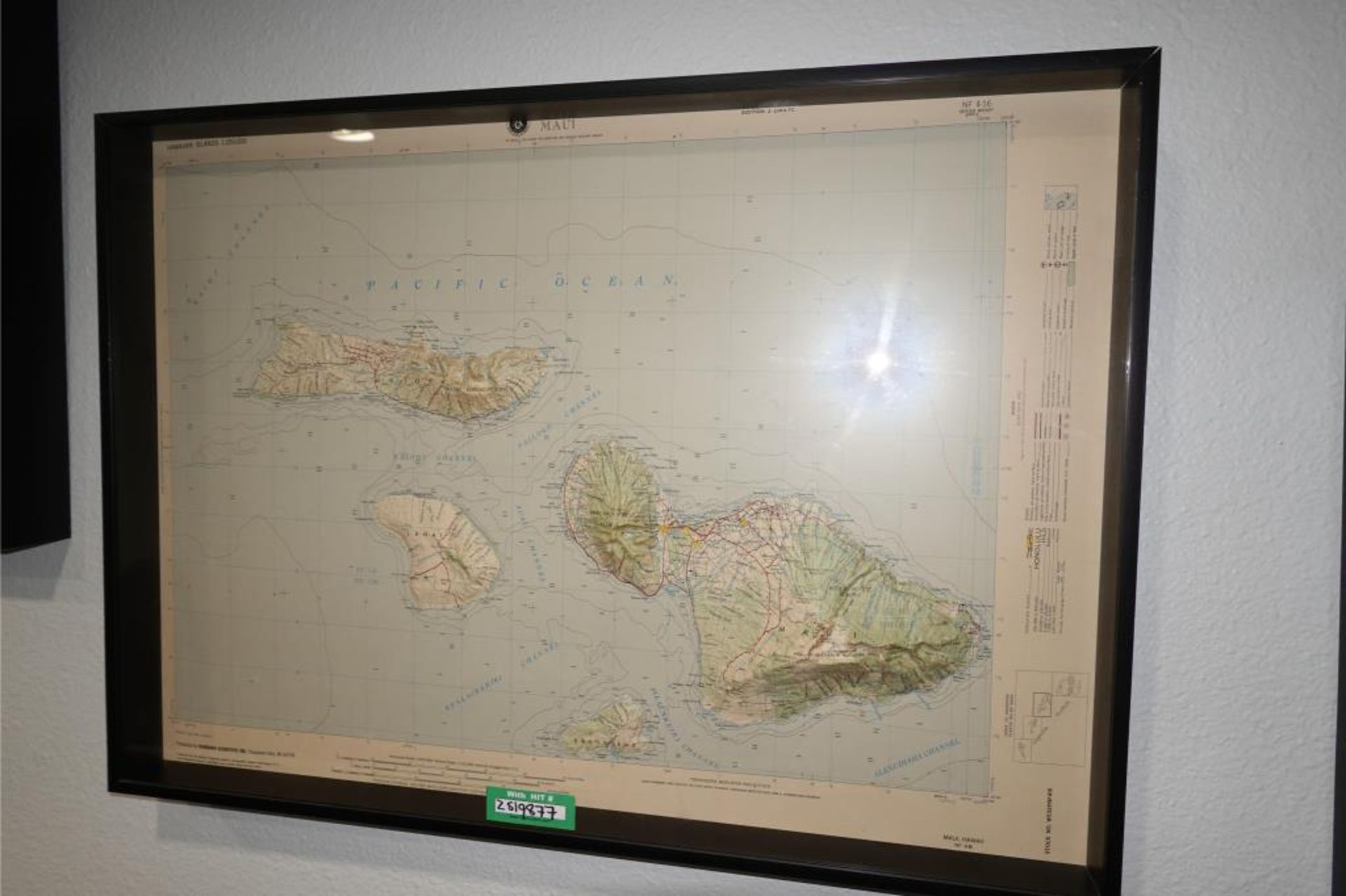 Framed Raised Island Maps - Image 3 of 6