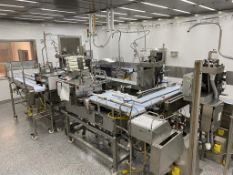 Dual Syringe Filling Lines