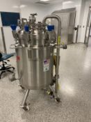 Stainless Steel Reactor