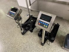 Platform Scales