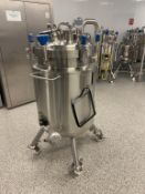 Stainless Steel Reactor