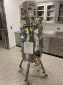 Stainless Steel Reactor