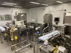 Dual Syringe Filling Lines