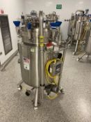 Stainless Steel Reactor