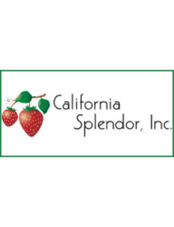 California Splendor - Surplus Fruit & Vegetable Processing Equipment