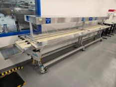 Montech Inspection Conveyor System