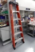 Werner NXT1A06 Step Ladder