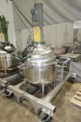 Mobile SS Transfer Tank W/ Lightnin Mixing Motor