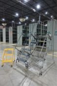 Warehouse Ladders