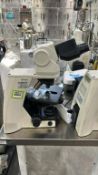 Nikon Eclipse Ci-L Microscope