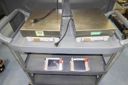 Precision Balances, 32,100g Max.