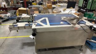 Dabrico Accumulation Conveyor Table