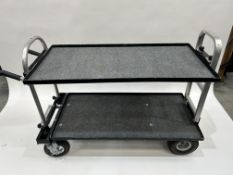 Magliner Gemini Senior Location Cart. (Please Note This is a Representative Photograph)