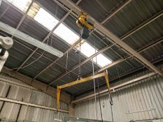 Electric chain hoist