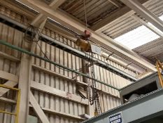 Electric chain hoist