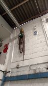 Chain hoist