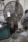 Pedestal Fan