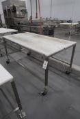 Mobile Stainless Steel Frame Table with HDPE Top