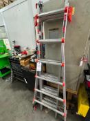 LADDER