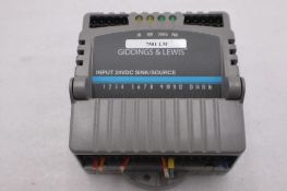 GIDDINGS & LEWIS M.1300.7372 R1 Input Module 24VDC SINK/SOURCE