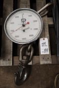 Dillon Dynamometer 10,000Lbs. Capacity Crane Scale
