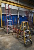 (5) Werner Ladders