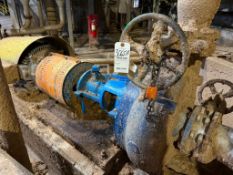GOULDS SLURRY PUMP
