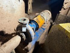 GOULDS 3196 316SS PUMP 3X4-13 WITH MOTOR