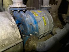 NASH CL1001 VACUUM PUMP