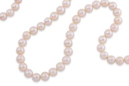 A LONG AKOYA CULTURED PEARL STRAND
