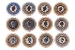 A GROUP OF 12 AUSTRALIAN 1 TROY OZ FINE SILVER KOOKABURRA COINS