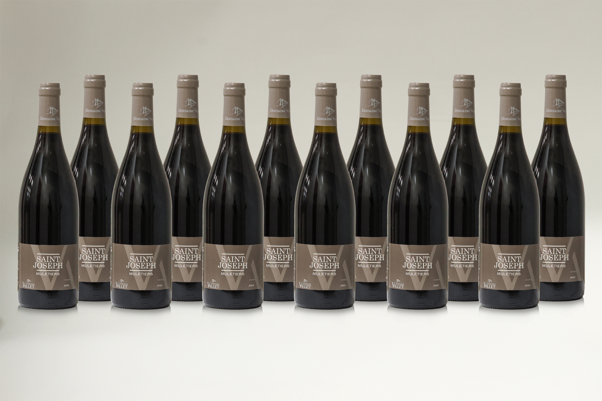 ANTHONY VALLET, MULETIERS, 2022 (12 BT)
