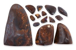 A GROUP OF POLISHED BOULDER OPAL SPECIMENS