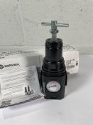 Norgren LR84G-4GT-RMG Excelon Plus Pressure Regulator.