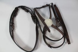 HBW-201 Bridle, Figure 8, Raised, Fancy - Pony - C.M Hadfield's.