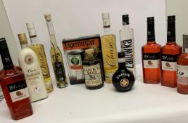 Thirteen assorted Liqueurs to include BV Land Watermelon 4 x 700ml, Lucky Sod Toffee Caramel Smooth