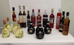 Nineteen bottles of assorted Wines/Spirits/Liqueurs to include Cruz Porto, Ice Wines, Sloe Gin, Vodk