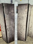 As new Salomon QST Blank Skis 2025, 186cm.