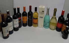 Ten assorted wines and two bottles of port to include 2020 Vin Santo Rini 500ml, Regimental fine taw