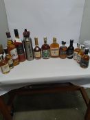 Thirteen assorted spirits to include Hennessy Cognac 350ml, Bells whisky 700ml.