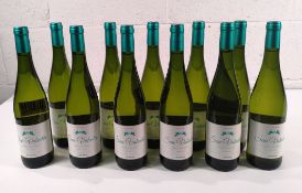 Eleven San Valentin Parellada 2023 Semi Seco white wine 11 x 750ml.