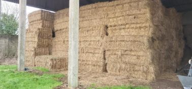 2024 Hay - (Norfolk)