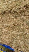 2024 Conventional Hay - (Cambridgeshire)