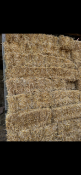 2024 Straw - (Bedfordshire)