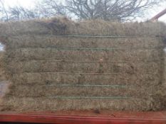 2023 Hay - (Leicestershire)