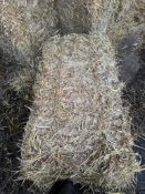 2024 Barley Straw - (Cambridgeshire)