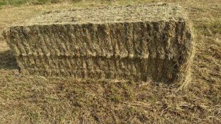 2024 Hay - (Cambridgeshire)