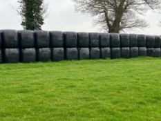 2024 Silage - (Norfolk)